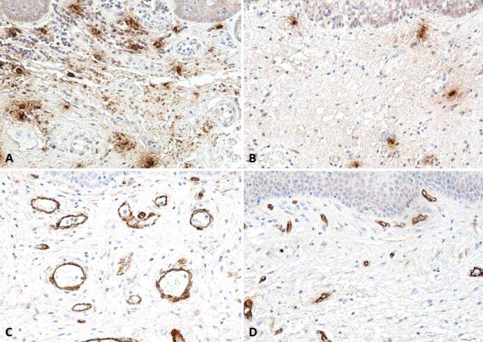 https://cdn.ncbi.nlm.nih.gov/pmc/blobs/4021/9926141/c1508479d020/RJME-63-3-511-fig9.jpg