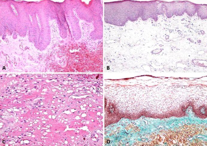 https://cdn.ncbi.nlm.nih.gov/pmc/blobs/4021/9926141/c661f400ea3b/RJME-63-3-511-fig6.jpg