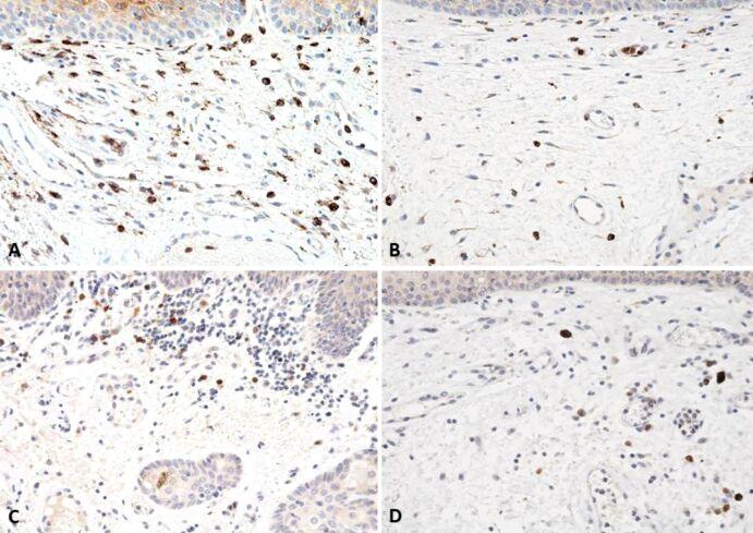 https://cdn.ncbi.nlm.nih.gov/pmc/blobs/4021/9926141/cc6f4c24970d/RJME-63-3-511-fig8.jpg