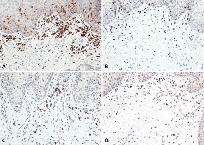 https://cdn.ncbi.nlm.nih.gov/pmc/blobs/4021/9926141/cea6f9461cd4/RJME-63-3-511-fig7.jpg