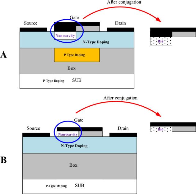 https://cdn.ncbi.nlm.nih.gov/pmc/blobs/4025/11310348/fdb0da673f3d/41598_2024_69383_Fig2_HTML.jpg