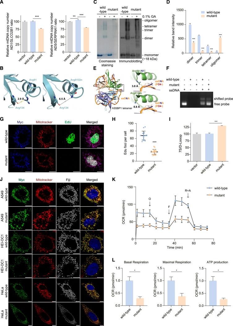 https://cdn.ncbi.nlm.nih.gov/pmc/blobs/4026/11299580/9cb52f558c22/gr2.jpg