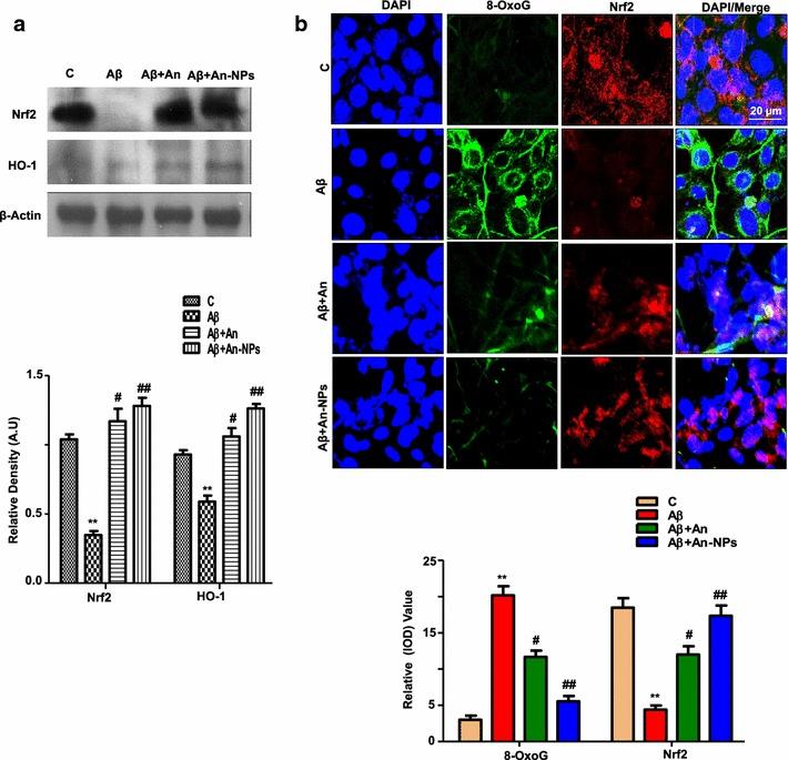 https://cdn.ncbi.nlm.nih.gov/pmc/blobs/4027/5297201/7d6f1d081f48/12951_2016_227_Fig4_HTML.jpg