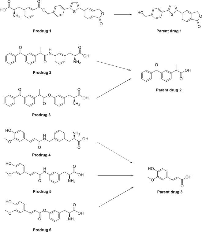 https://cdn.ncbi.nlm.nih.gov/pmc/blobs/4027/6731241/42a6dcd2d280/41598_2019_49009_Fig3_HTML.jpg