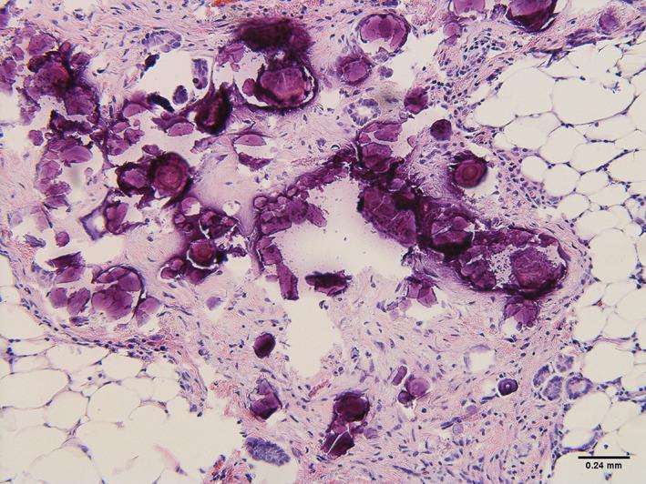 https://cdn.ncbi.nlm.nih.gov/pmc/blobs/4027/8842692/42ac5813a0ce/CNR2-5-e1455-g008.jpg