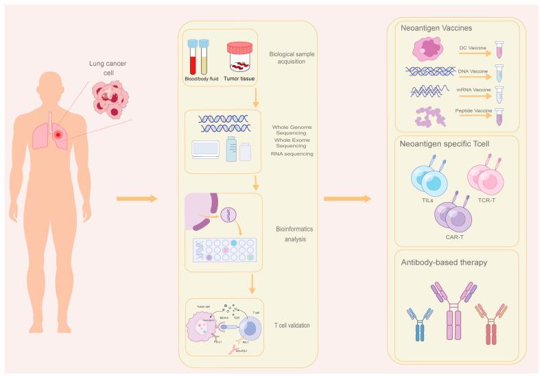 https://cdn.ncbi.nlm.nih.gov/pmc/blobs/4028/12190263/5c3f06c86d78/cancers-17-01953-g001.jpg