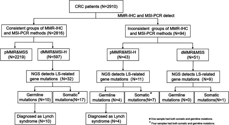 https://cdn.ncbi.nlm.nih.gov/pmc/blobs/4029/12210840/e559898a4d19/12885_2025_14484_Fig1_HTML.jpg