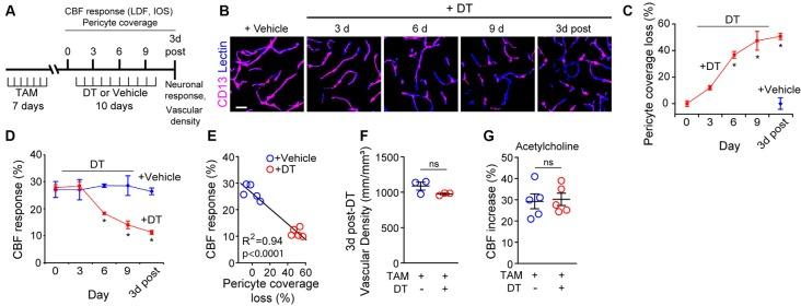 https://cdn.ncbi.nlm.nih.gov/pmc/blobs/4029/7033444/4ebdd32e1cf7/fncel-14-00027-g0001.jpg