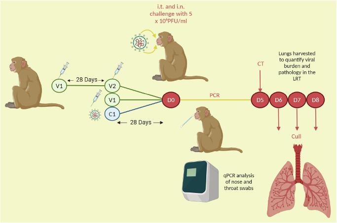https://cdn.ncbi.nlm.nih.gov/pmc/blobs/402b/11997207/a6df3496c98e/41541_2025_1103_Fig1_HTML.jpg