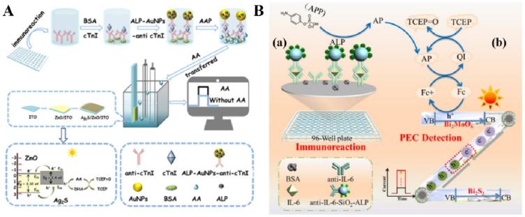 https://cdn.ncbi.nlm.nih.gov/pmc/blobs/402c/10526794/0419338c0dd8/biosensors-13-00855-g018.jpg