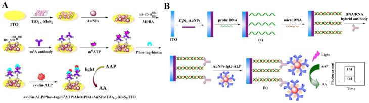 https://cdn.ncbi.nlm.nih.gov/pmc/blobs/402c/10526794/0fde202a03a4/biosensors-13-00855-g012.jpg