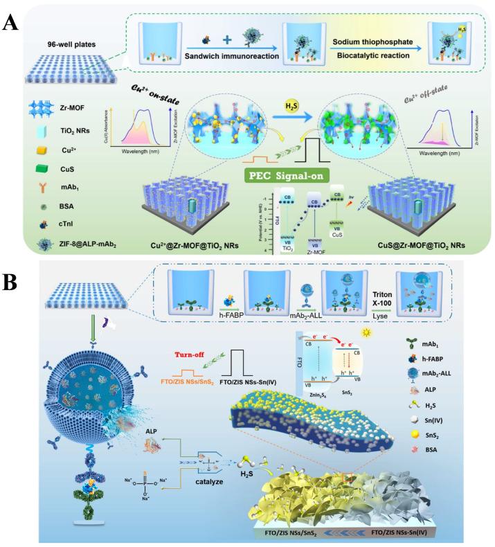 https://cdn.ncbi.nlm.nih.gov/pmc/blobs/402c/10526794/1060767682e1/biosensors-13-00855-g020.jpg