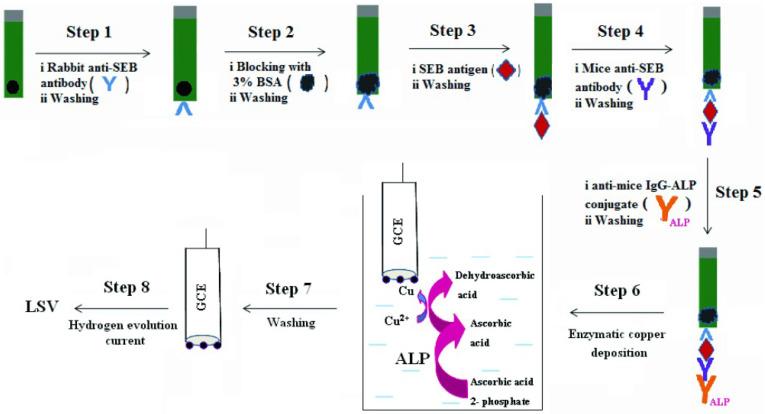 https://cdn.ncbi.nlm.nih.gov/pmc/blobs/402c/10526794/1d5f0dd492c5/biosensors-13-00855-g011.jpg