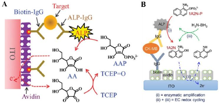 https://cdn.ncbi.nlm.nih.gov/pmc/blobs/402c/10526794/25ba0b9e1859/biosensors-13-00855-g004.jpg