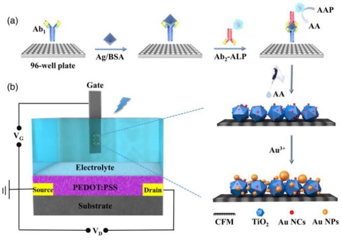 https://cdn.ncbi.nlm.nih.gov/pmc/blobs/402c/10526794/525c257f6cc9/biosensors-13-00855-g019.jpg