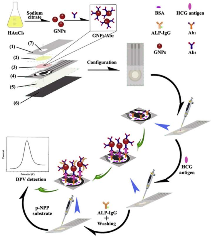 https://cdn.ncbi.nlm.nih.gov/pmc/blobs/402c/10526794/bb1e408be5f4/biosensors-13-00855-g003.jpg