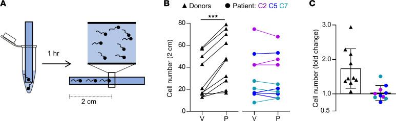 https://cdn.ncbi.nlm.nih.gov/pmc/blobs/402c/10760960/d505e129cf0e/jci-134-173564-g103.jpg