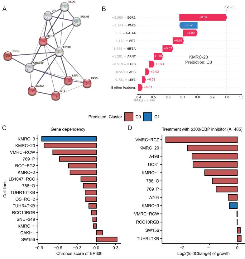 https://cdn.ncbi.nlm.nih.gov/pmc/blobs/402c/11449910/f1de30fbba87/41540_2024_445_Fig5_HTML.jpg