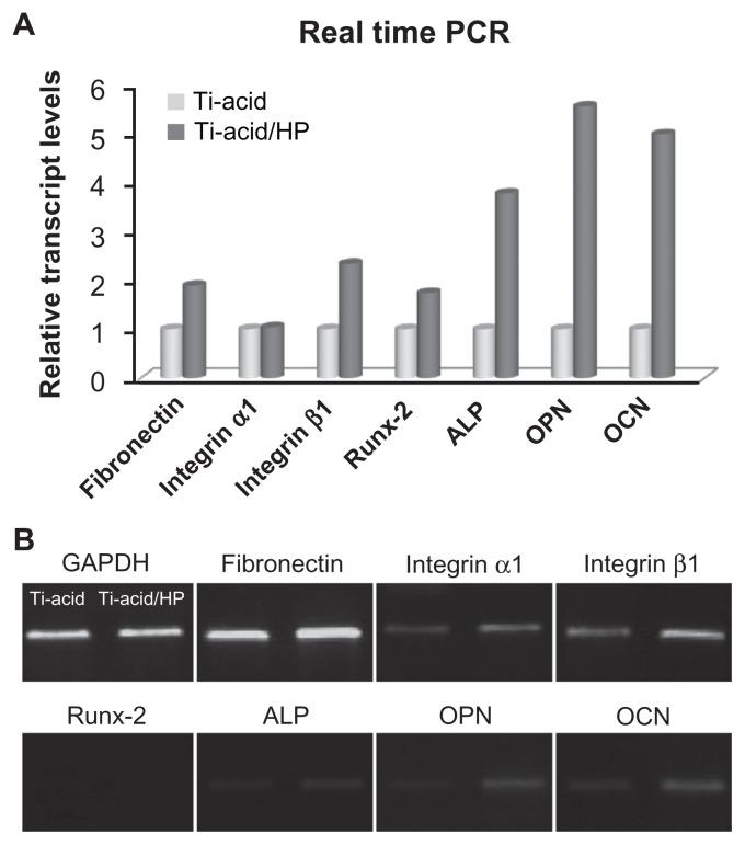 https://cdn.ncbi.nlm.nih.gov/pmc/blobs/402d/3548415/10ef60e49003/ijn-8-257f4.jpg