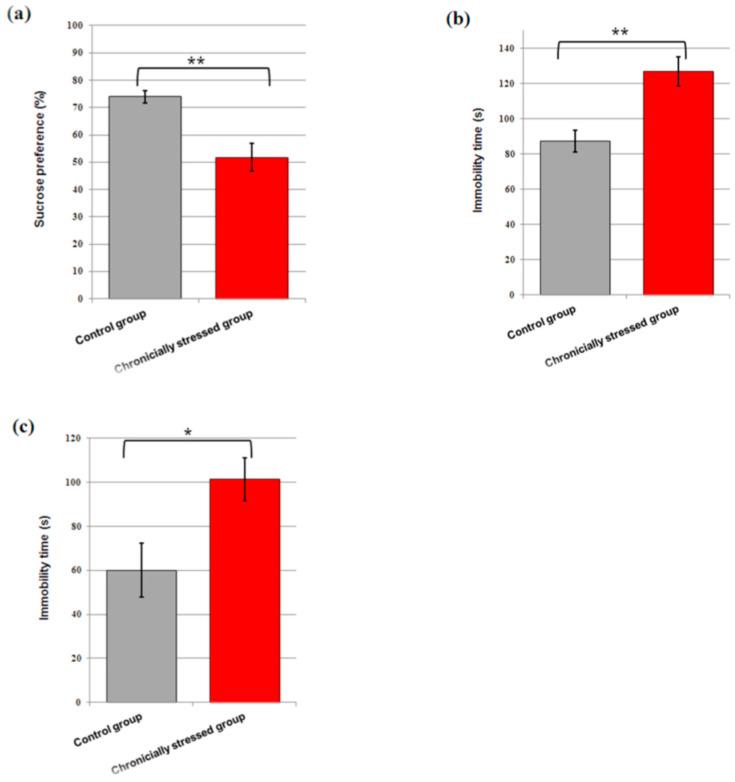 https://cdn.ncbi.nlm.nih.gov/pmc/blobs/402d/9030173/04be93c9f15e/brainsci-12-00498-g001.jpg