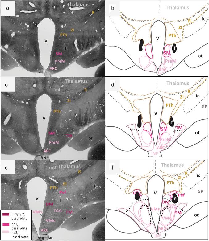 https://cdn.ncbi.nlm.nih.gov/pmc/blobs/402e/7321918/cbf52efe7eba/429_2020_2093_Fig3_HTML.jpg