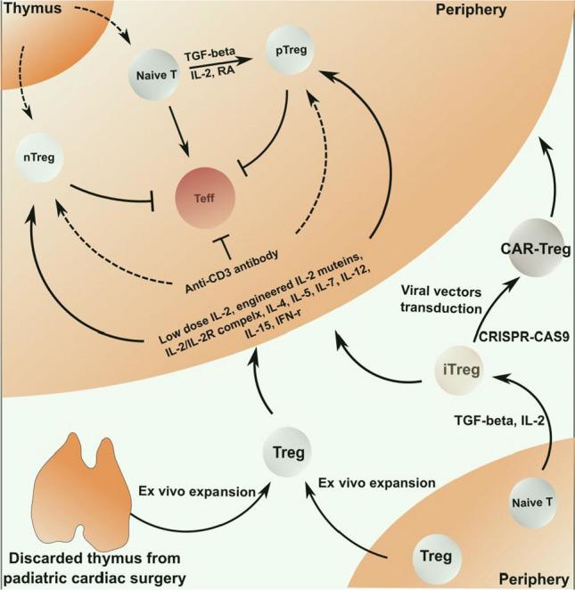 https://cdn.ncbi.nlm.nih.gov/pmc/blobs/4030/9522664/891a1e373398/18_2022_4563_Fig2_HTML.jpg