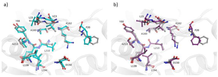 https://cdn.ncbi.nlm.nih.gov/pmc/blobs/4031/10855553/8317a1793a4b/ijms-25-01731-g008.jpg