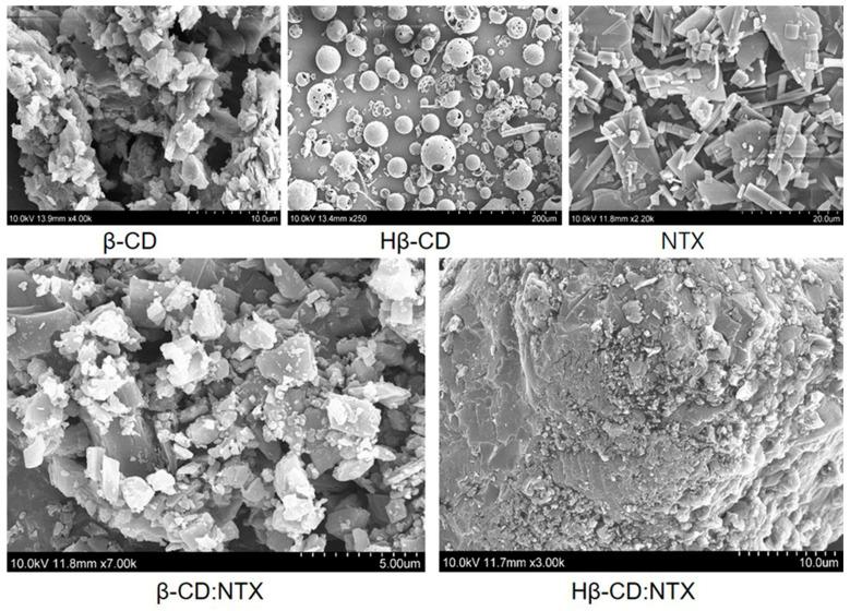 https://cdn.ncbi.nlm.nih.gov/pmc/blobs/4031/11677481/8c744edc51fe/pharmaceutics-16-01494-g004.jpg
