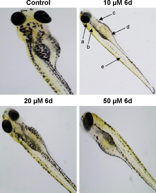 https://cdn.ncbi.nlm.nih.gov/pmc/blobs/4031/5503496/745daddc329f/dddt-11-2029Fig8.jpg