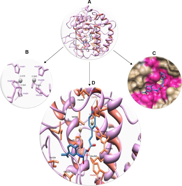 https://cdn.ncbi.nlm.nih.gov/pmc/blobs/4031/5503496/f84f8d9a926d/dddt-11-2029Fig10.jpg