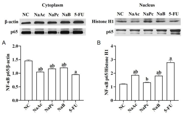 https://cdn.ncbi.nlm.nih.gov/pmc/blobs/4031/9864921/372f46f0a653/molecules-28-00494-g002.jpg
