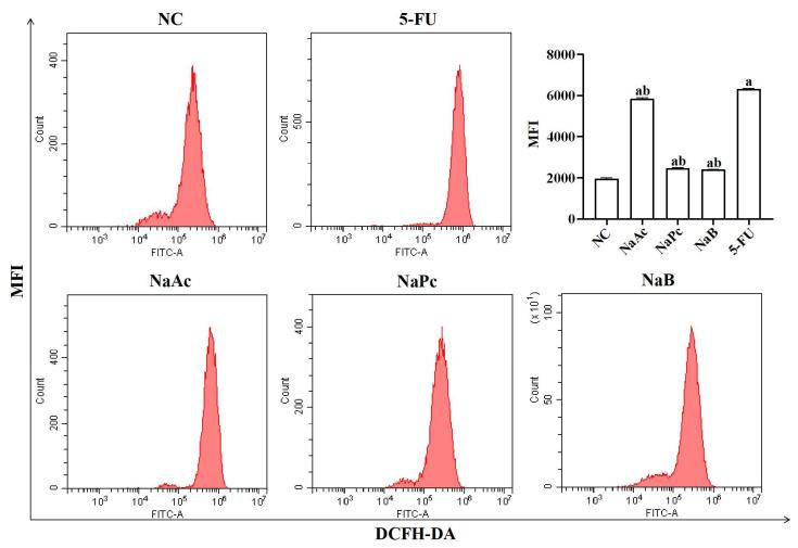 https://cdn.ncbi.nlm.nih.gov/pmc/blobs/4031/9864921/398302ca97bf/molecules-28-00494-g001.jpg