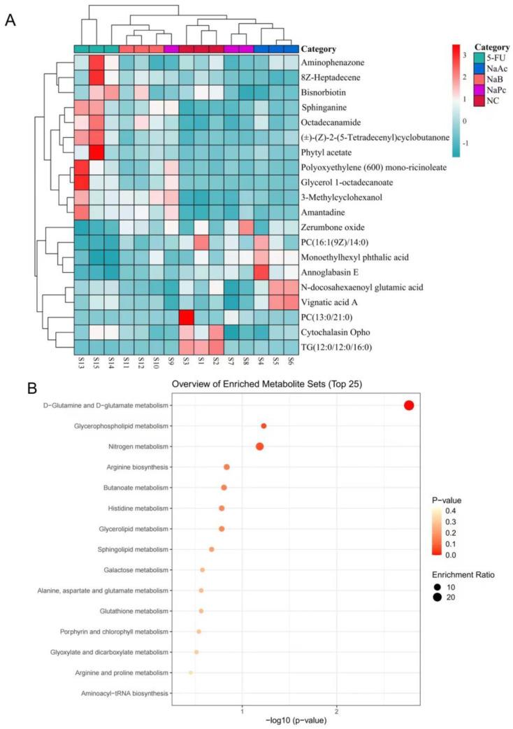 https://cdn.ncbi.nlm.nih.gov/pmc/blobs/4031/9864921/84f3b20aa491/molecules-28-00494-g007.jpg