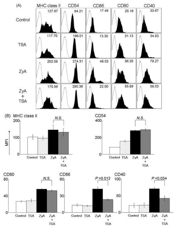 https://cdn.ncbi.nlm.nih.gov/pmc/blobs/4032/3218887/93aec17af4d3/ar3339-6.jpg