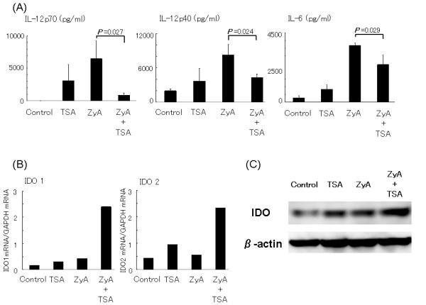 https://cdn.ncbi.nlm.nih.gov/pmc/blobs/4032/3218887/d78f3fca8bcf/ar3339-5.jpg
