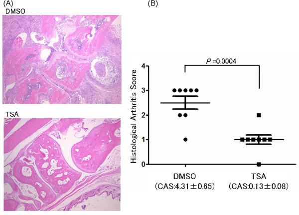 https://cdn.ncbi.nlm.nih.gov/pmc/blobs/4032/3218887/f566a590d5b5/ar3339-2.jpg