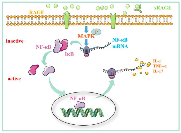 https://cdn.ncbi.nlm.nih.gov/pmc/blobs/4032/9370360/8096b3a1ac14/molecules-27-04922-g003.jpg