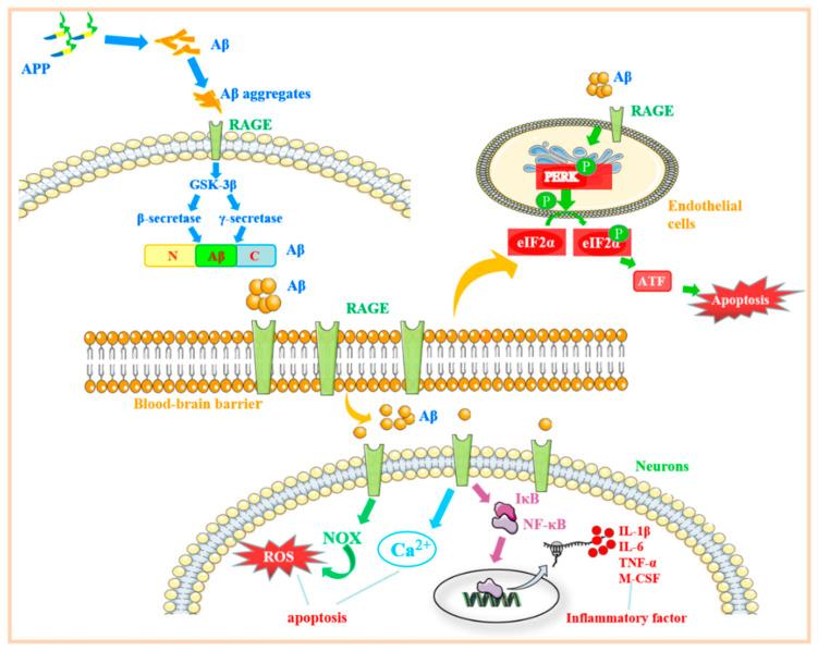 https://cdn.ncbi.nlm.nih.gov/pmc/blobs/4032/9370360/a00465a66e0a/molecules-27-04922-g004.jpg