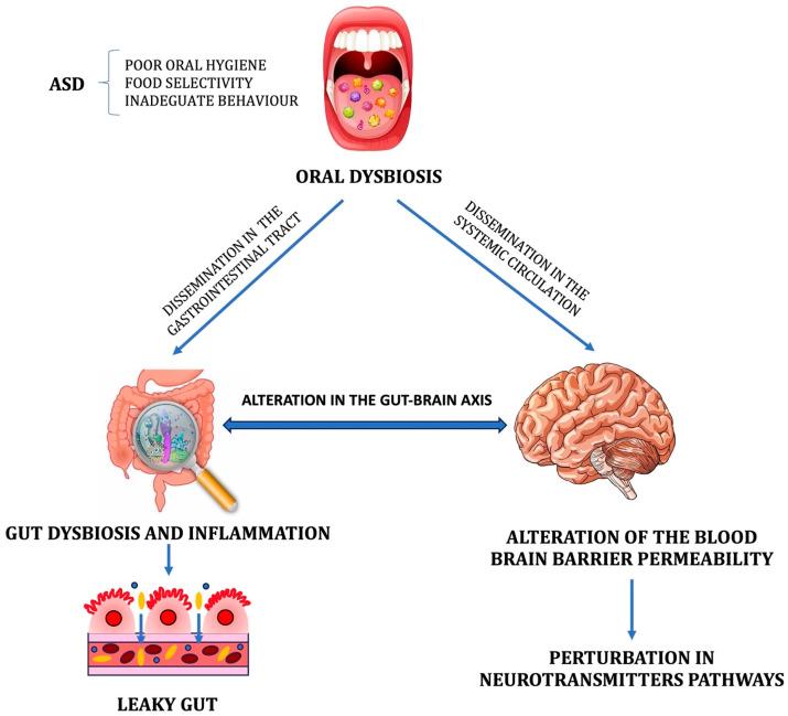 https://cdn.ncbi.nlm.nih.gov/pmc/blobs/4033/10745349/0f218a4e0572/metabolites-13-01183-g001.jpg