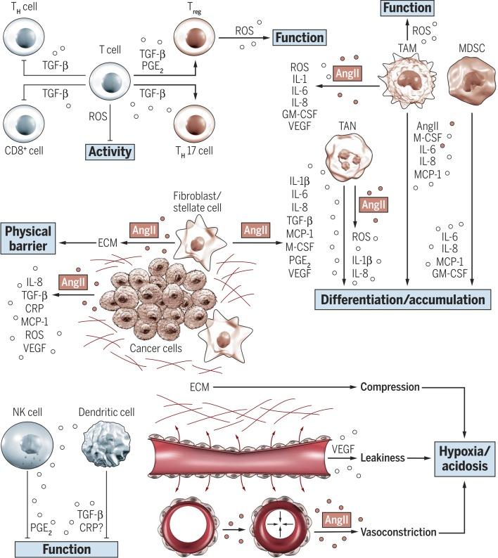 https://cdn.ncbi.nlm.nih.gov/pmc/blobs/4033/6510300/3476967e888b/STM-09-eaan5616-g002.jpg