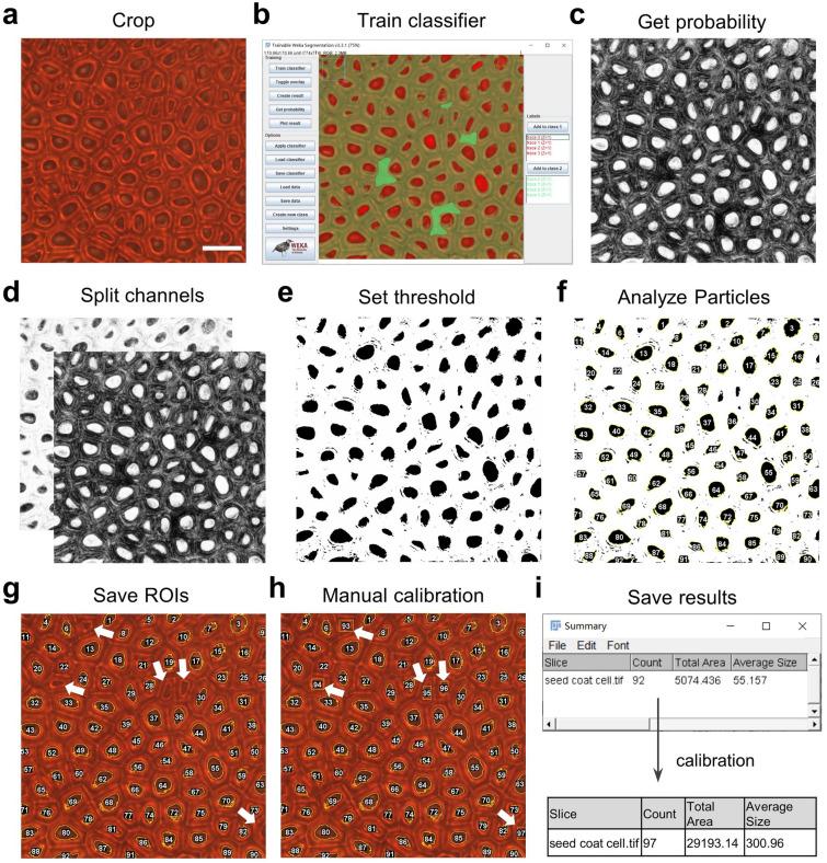 https://cdn.ncbi.nlm.nih.gov/pmc/blobs/4033/9632141/27fd6713122f/13007_2022_948_Fig4_HTML.jpg