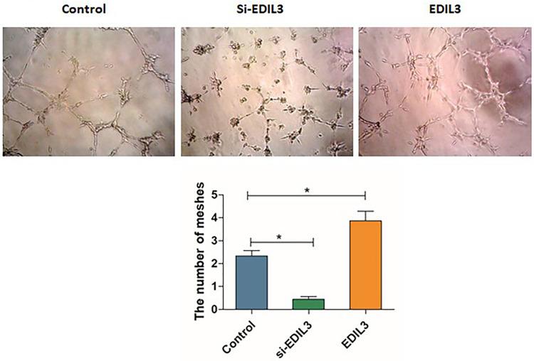 https://cdn.ncbi.nlm.nih.gov/pmc/blobs/4036/10202143/b20701a0632e/CCID-16-1269-g0005.jpg