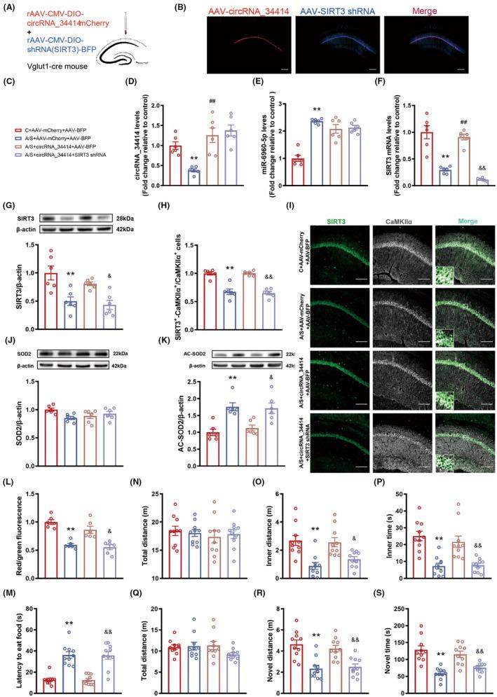 https://cdn.ncbi.nlm.nih.gov/pmc/blobs/4036/11322041/db6d8147e6c3/CNS-30-e14902-g004.jpg