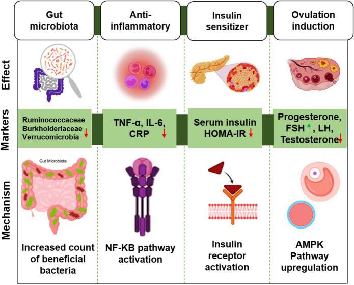 https://cdn.ncbi.nlm.nih.gov/pmc/blobs/4036/12001734/3dc54e3ee3d9/13048_2025_1660_Fig2_HTML.jpg