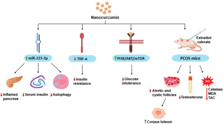 https://cdn.ncbi.nlm.nih.gov/pmc/blobs/4036/12001734/44304ff7681d/13048_2025_1660_Fig8_HTML.jpg