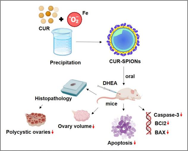 https://cdn.ncbi.nlm.nih.gov/pmc/blobs/4036/12001734/92c7919024d7/13048_2025_1660_Fig6_HTML.jpg