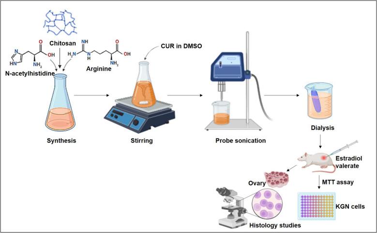 https://cdn.ncbi.nlm.nih.gov/pmc/blobs/4036/12001734/d3170cc3d3ad/13048_2025_1660_Fig7_HTML.jpg
