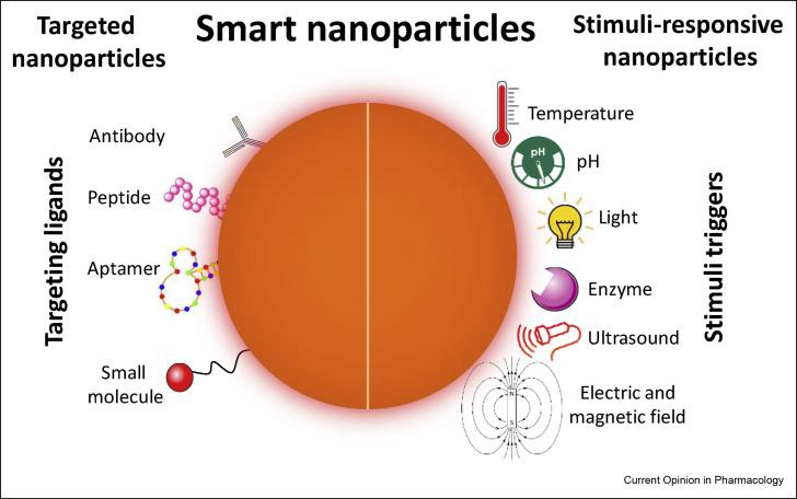 https://cdn.ncbi.nlm.nih.gov/pmc/blobs/4037/7746087/6cd5bc47627f/gr2_lrg.jpg