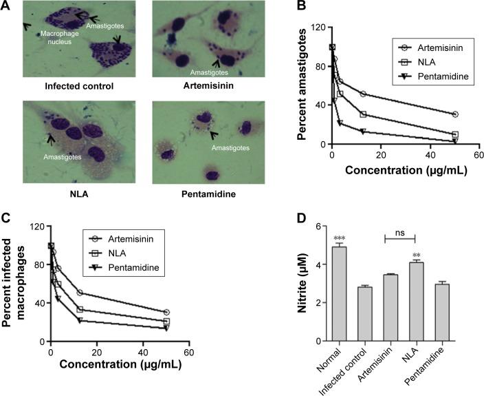 https://cdn.ncbi.nlm.nih.gov/pmc/blobs/4038/5367595/e97c10836433/ijn-12-2189Fig3.jpg