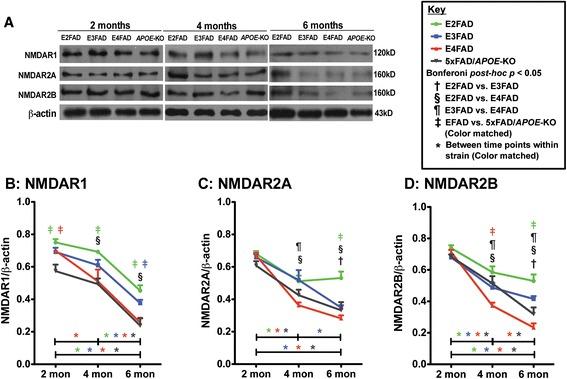 https://cdn.ncbi.nlm.nih.gov/pmc/blobs/403a/4391134/5037deda2545/13024_2015_2_Fig5_HTML.jpg